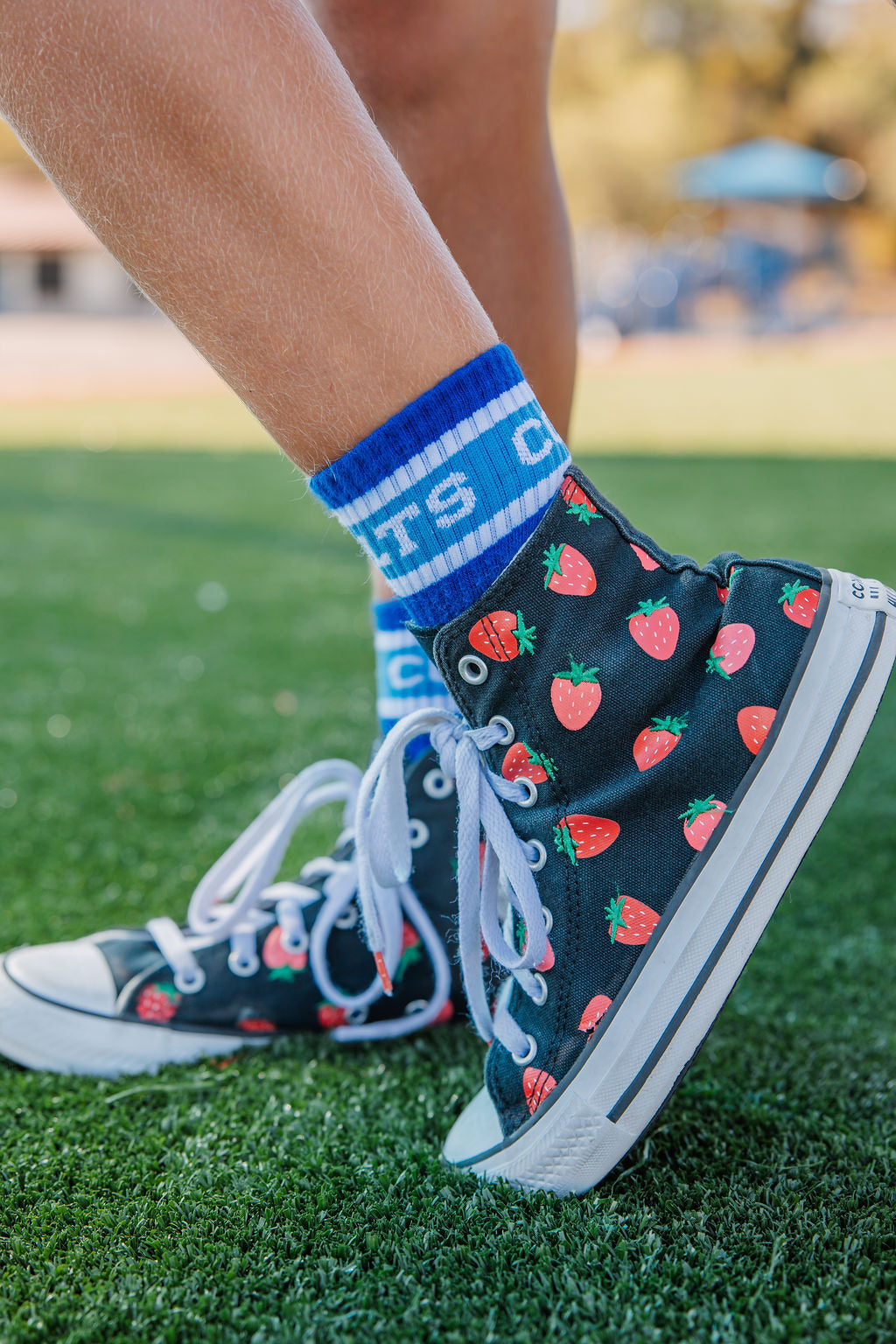 Carrillo Crew Socks