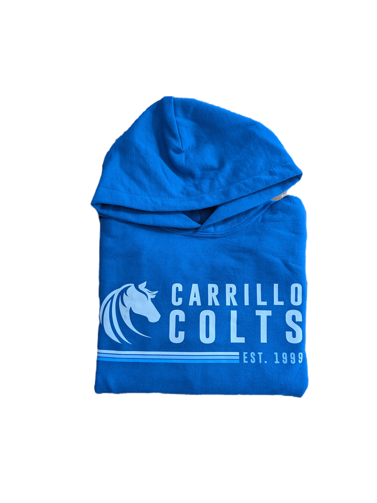 Adult Hoodie - Logo Design