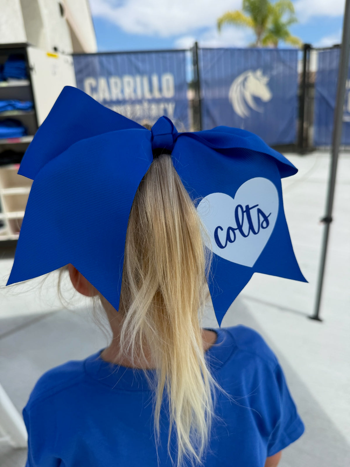 Hair bow