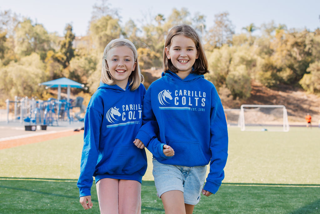 Youth Hoodie - Logo Design