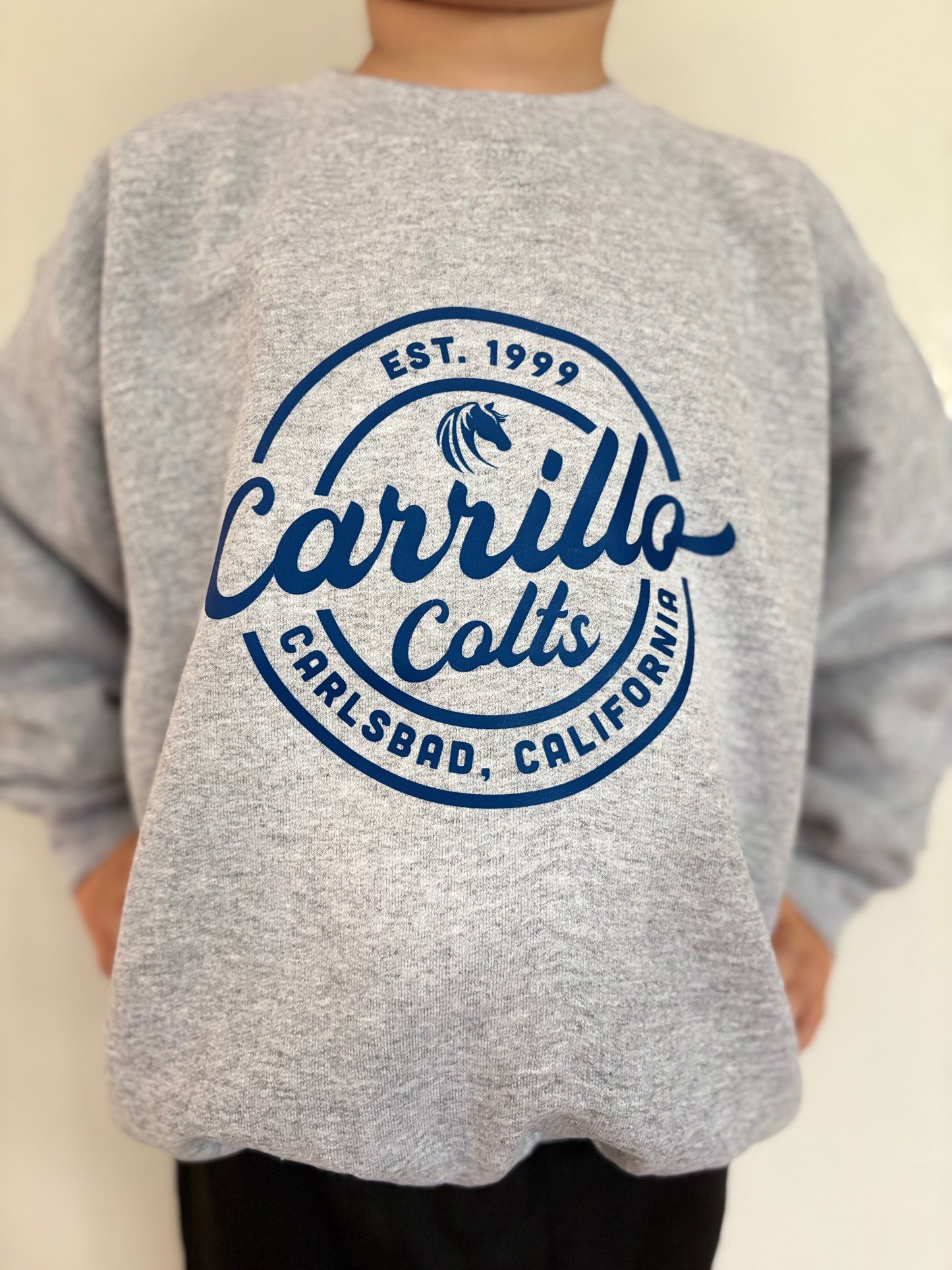 Youth Crewneck Sweatshirt Carrillo Athletic Grey