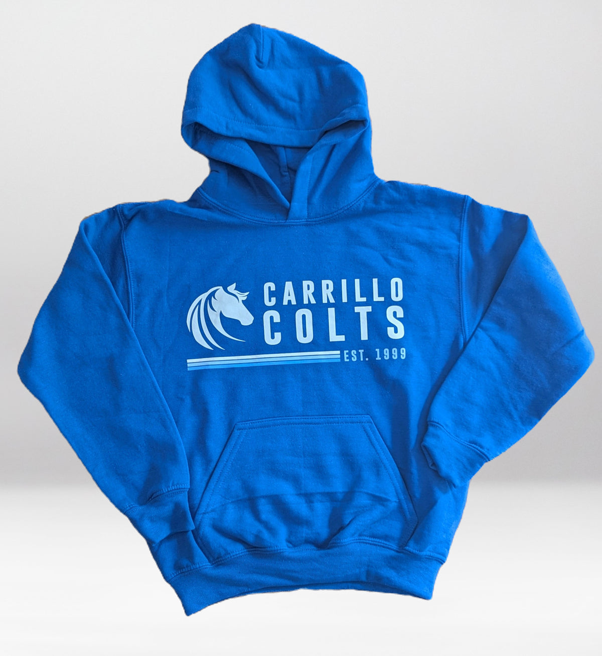 Adult Hoodie - Logo Design